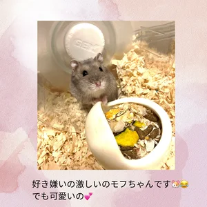 momochan88 Public Foto 7