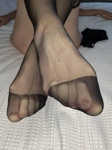 ELEGANT-ARIA36 Public Pic 6