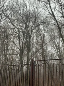 liana_kisses A typical day in my life 🤪 Foto 4