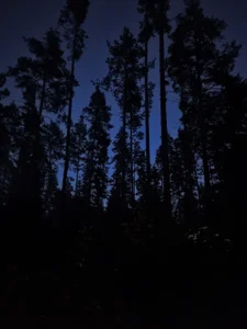 Reed_Fox's a trip to the festival🏕️ Sex Photo 9