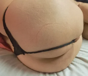 Public de Fukdogi  5 Imagens