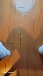 kuma_nomi 20250308 Foto