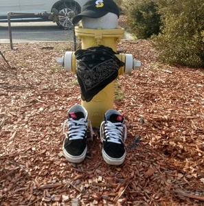 Random shots de Xxxsinbadxxx69 Foto 7