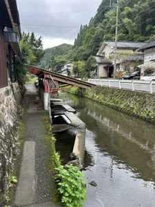 pai-chin-kun kullanıcısının Public albümü -  fotoğraf