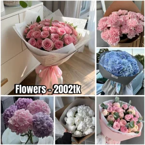 wwildfox 🎁🎁🎁 Alice's vishlist 🎁🎁🎁 Pic 6