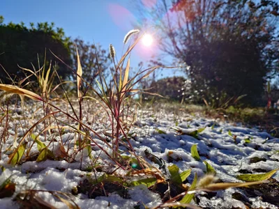 kimagure-fu- ランチだけど朝ご飯　1月20日❄雪❄ รูป  9