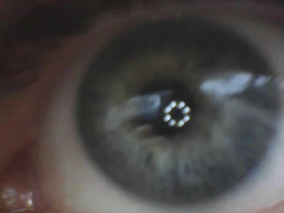 Cobra500hp public2 Foto 2