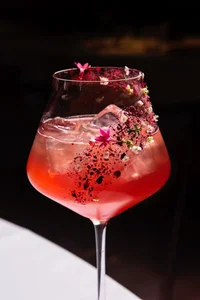 my pleasusre choose de HollyGibson  3 Imagens