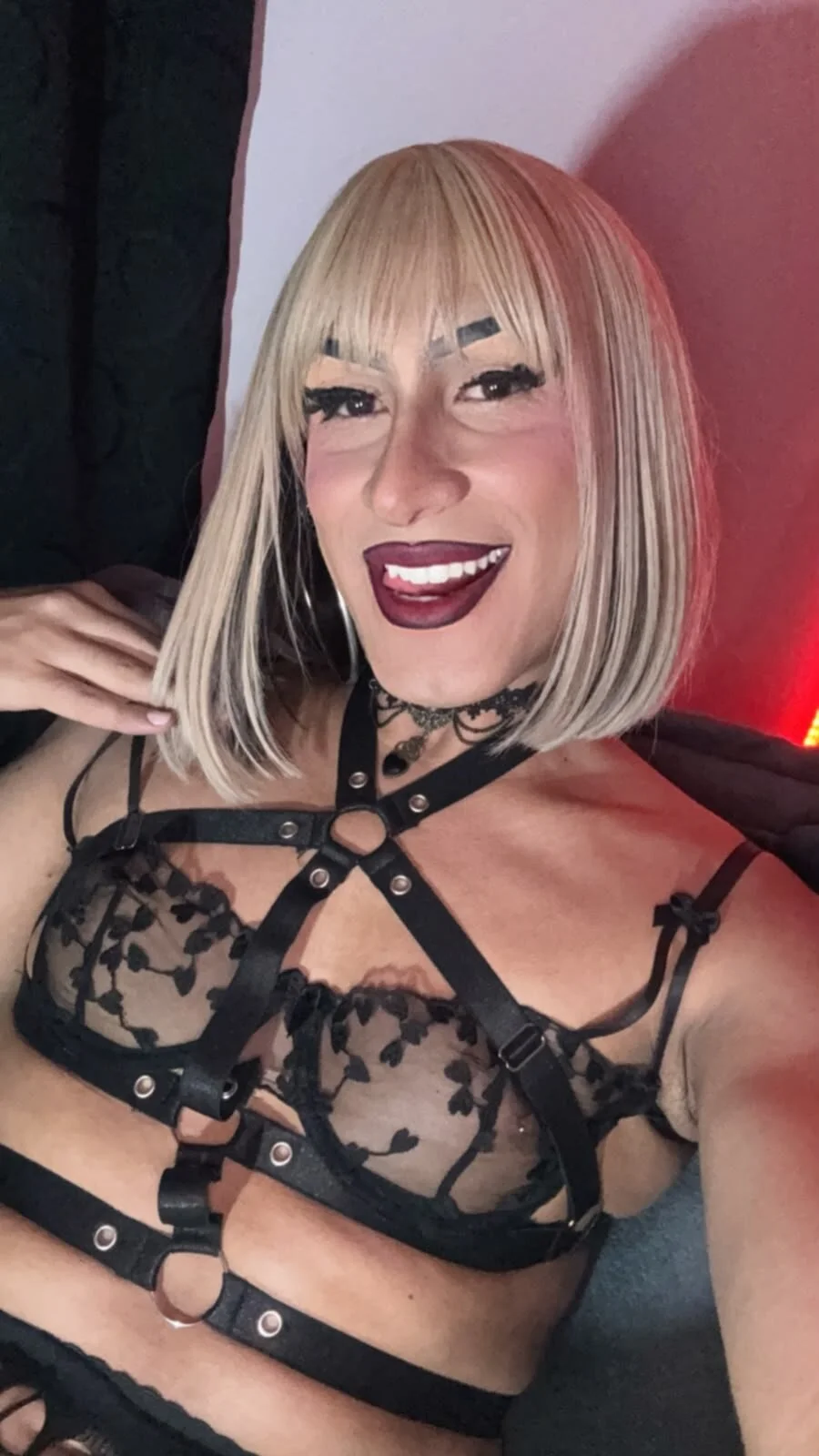 aisha_braunn  5356. kiemelt képe