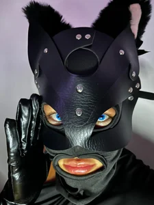 KittenCarnivore All Pic 3