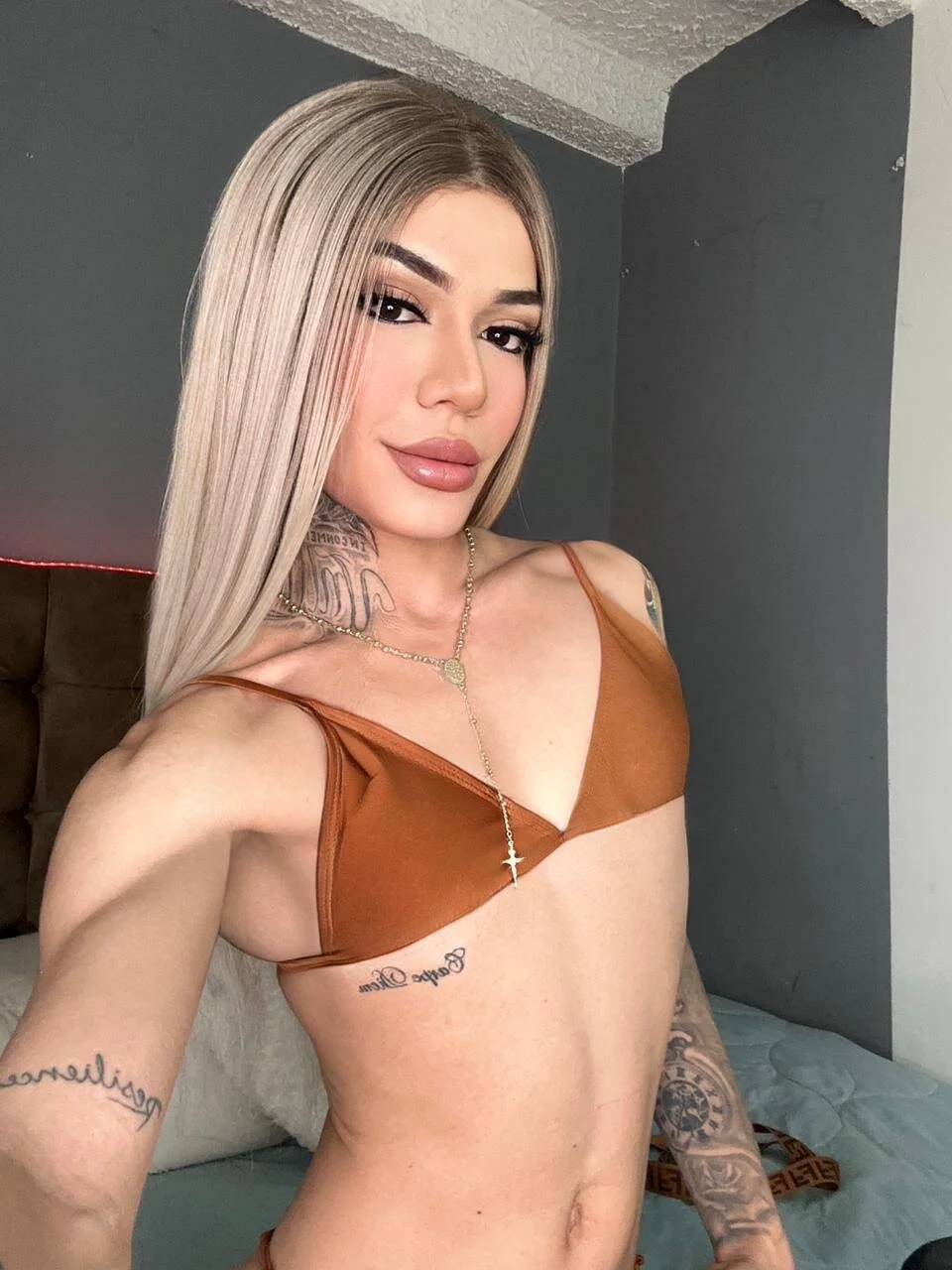 Public de Camillesanto  Imagens
