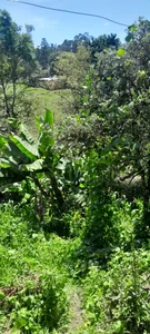 GabyThoms nature and peace Pic 5