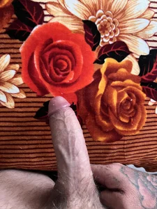 VDorseJHill6Public Bild 8