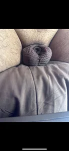 Percy0904 Public  3. fénykép