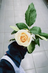 RebekahEifler Flowers time Kuva 3