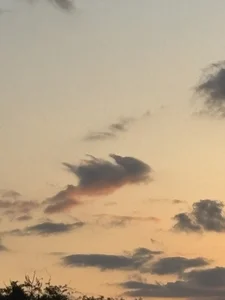 hi_ka_ri0728 ぴかりんの日常♡ 사진 3