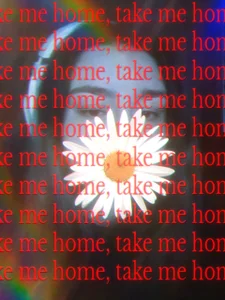 Pink Mood 🎀 de RiotKitten1 Foto