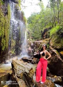 AnselWillis's photo
