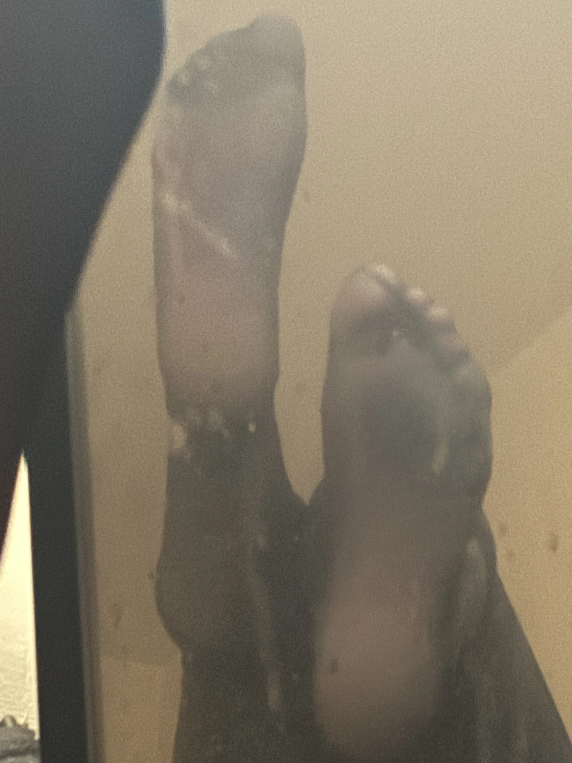 tastemytoes Public  3 снимка
