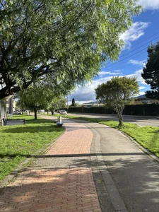nezonx Nature Vibes 🎋🌴🌳 Kuva 6