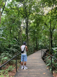 JordanRossie NATURA 사진 7