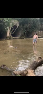 Sofisky2のPublicの 4枚の写真