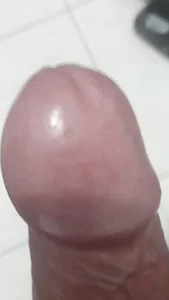 Conorlee Condor Immagine  2