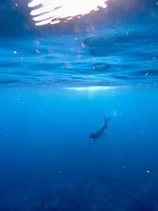 MissMaggie Public Foto