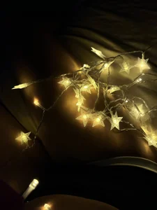 SweetBunnyGFのPublicの 2枚の写真