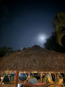 Annycolin_のPalomino - Colombia 🇨🇴の 3枚の写真