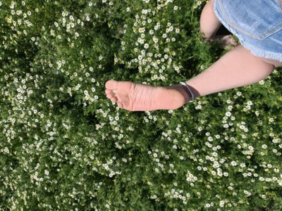 SteviaHotBloomのPublicの 2枚の写真