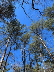 Andy_gray NATURE 🏞️ Foto 7