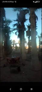 bigraski1976 Working out  9. fénykép