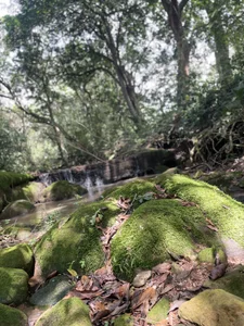 Magnuz_Col Tarzan Magnuz Foto 3