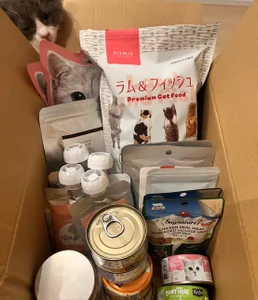 Public de SUI-Strong Foto