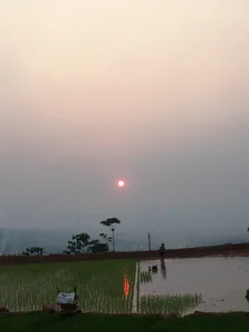 Public de hihi-xx  4 photos