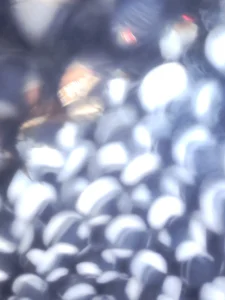 Yourwhitec0ck Public  2. fénykép