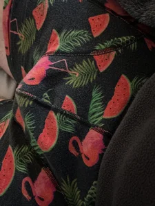 bonjello Public Poză