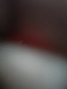 Chandu1245Public Bild