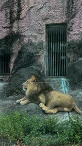 PickUp_me - 1 XXX Çıplak Fotoğraf