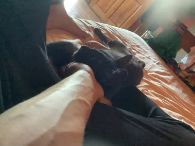 Nooneisthis Public Hình 3