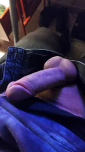 Purple_Flamingo Public Foto 3