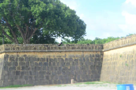 Public od omagrinho_dotado  3 snímek