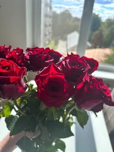 mona_cloud Public  7. fénykép