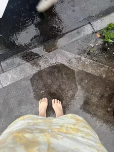 Public de StrayedForename  6 Imagens