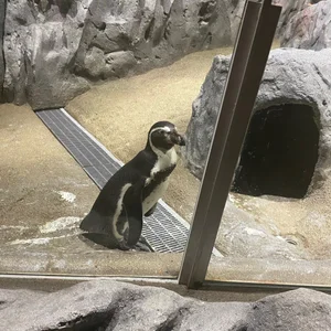 sayaka_xo 君可愛すぎるよ Pic