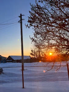 EvaThopsonwinter❄️图  片