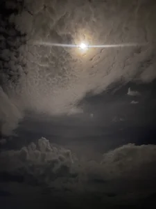 PaleVibes Pics Random Immagine  8