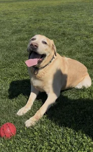 smoothripz Public Pic 7