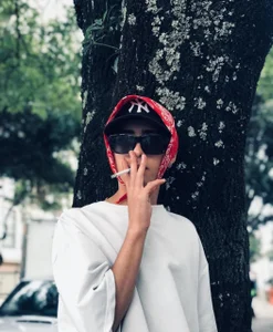 santy_fox Public Εικόνα 6